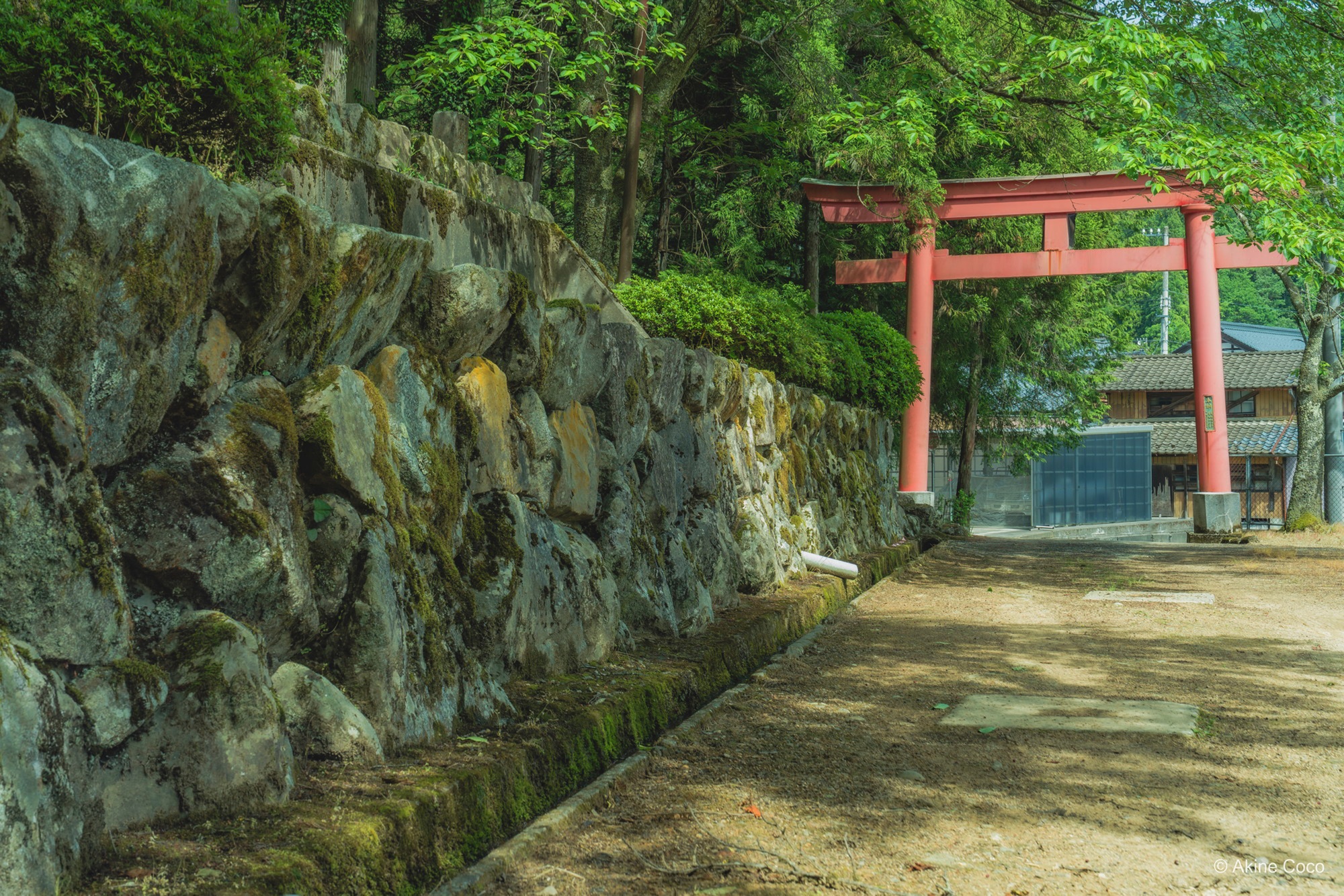 NOSTALTONE GREEN 作例