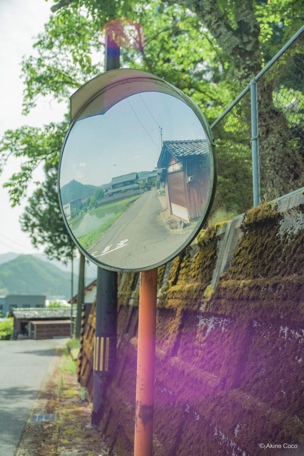 NOSTALTONE GREEN 作例