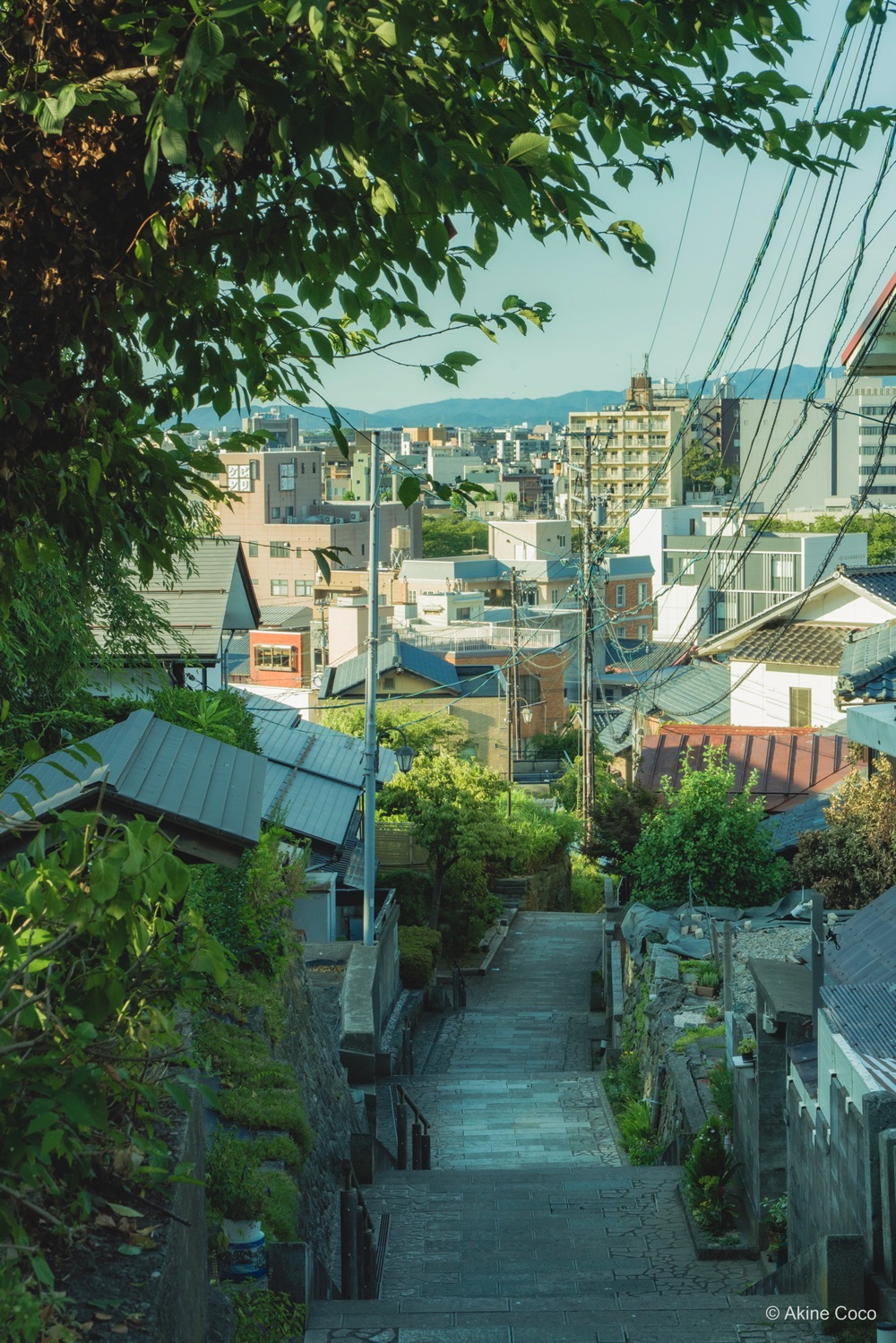 NOSTALTONE GREEN 作例