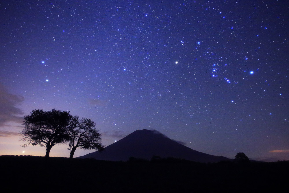 冬の星座を印象的に撮ろう | ケンコー・トキナー