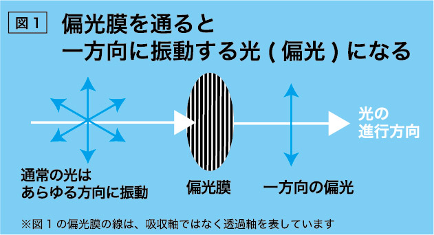 PLフィルター図1