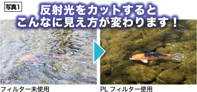 PLフィルター図3