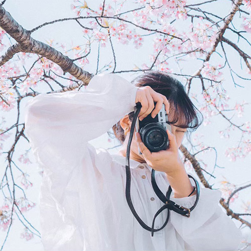 櫻子