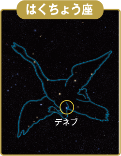 はくちょう座
