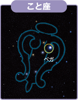 わし座