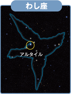 こと座