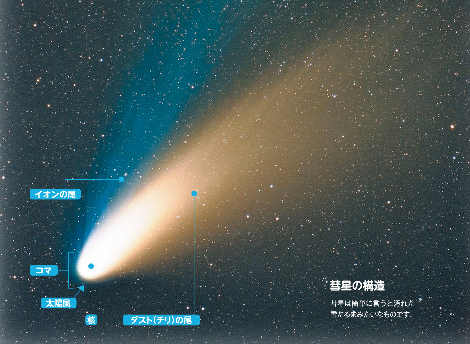 彗星の構造