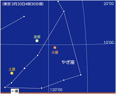 金星が西方最大離角