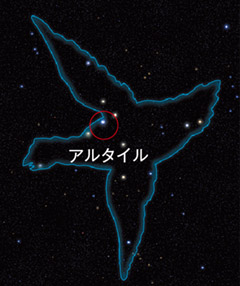 わし座
