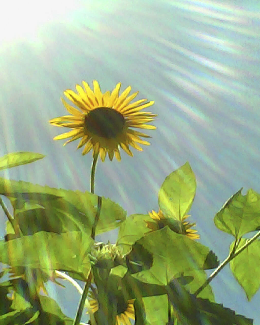 pieni2_sample10.jpg