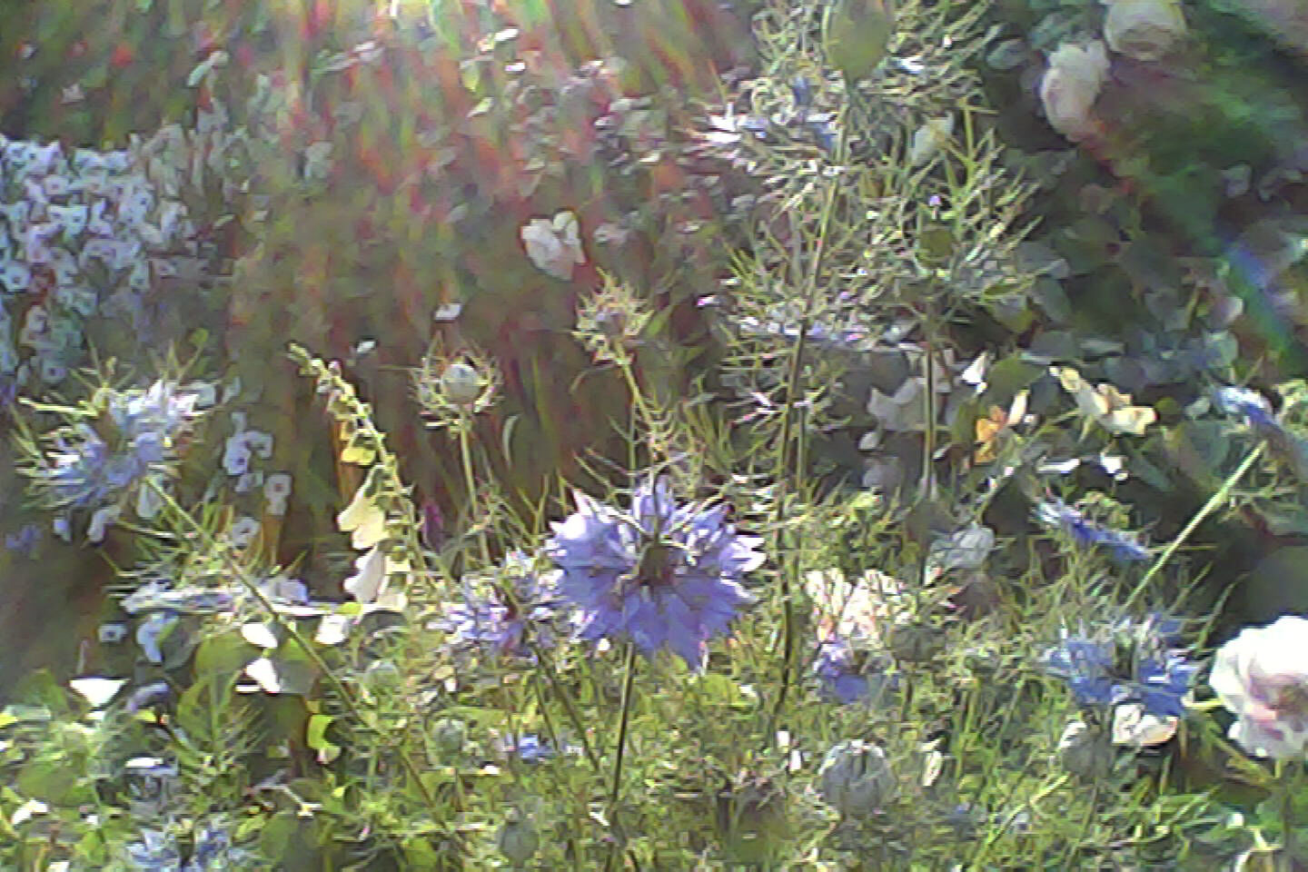 pieni3_sample04.jpg