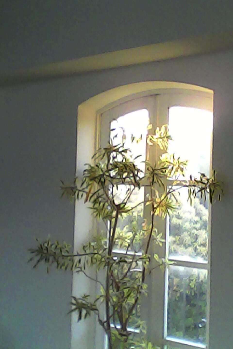 pieni3_sample12.jpg
