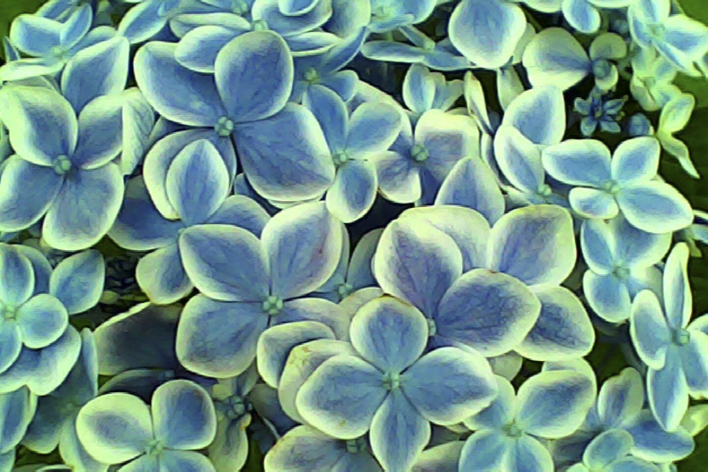 pieni3_sample17.jpg