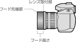 各部サイズ