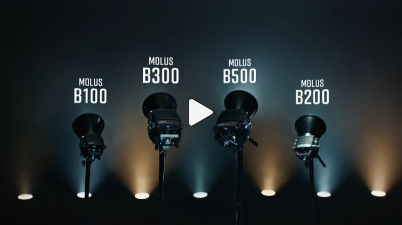MOLUS B100 / B200 / B300 / B500 | ケンコー・トキナー