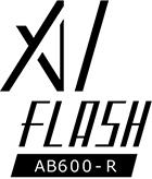 AI_flash_logo1.jpg