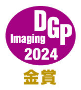 dgp2024_gold.jpg