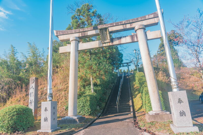 ノスタルトーン・ブルー 画像3