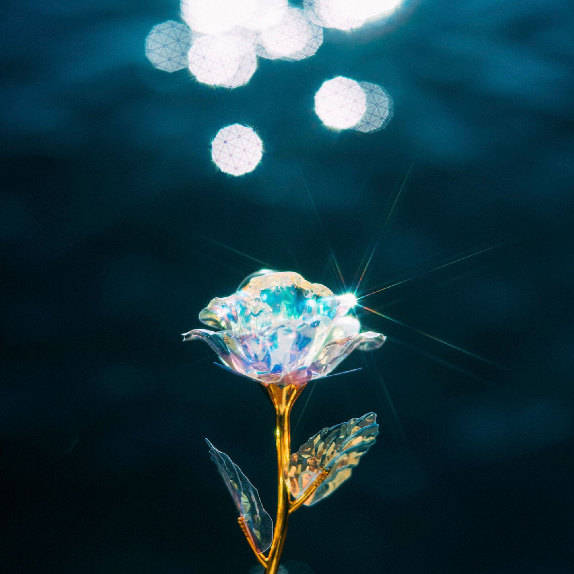 lotus_sunny-cross_gallery03_thumb.jpg