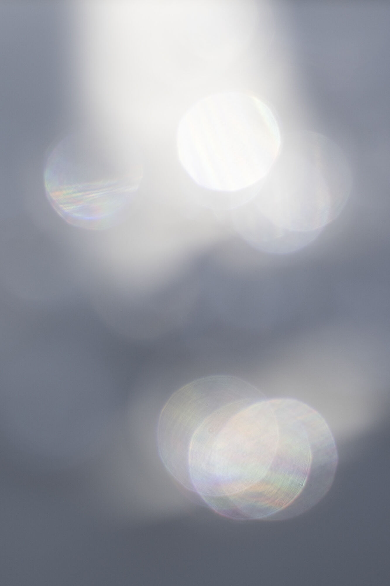 pro1d_natural-cross_features02_2_with.jpg