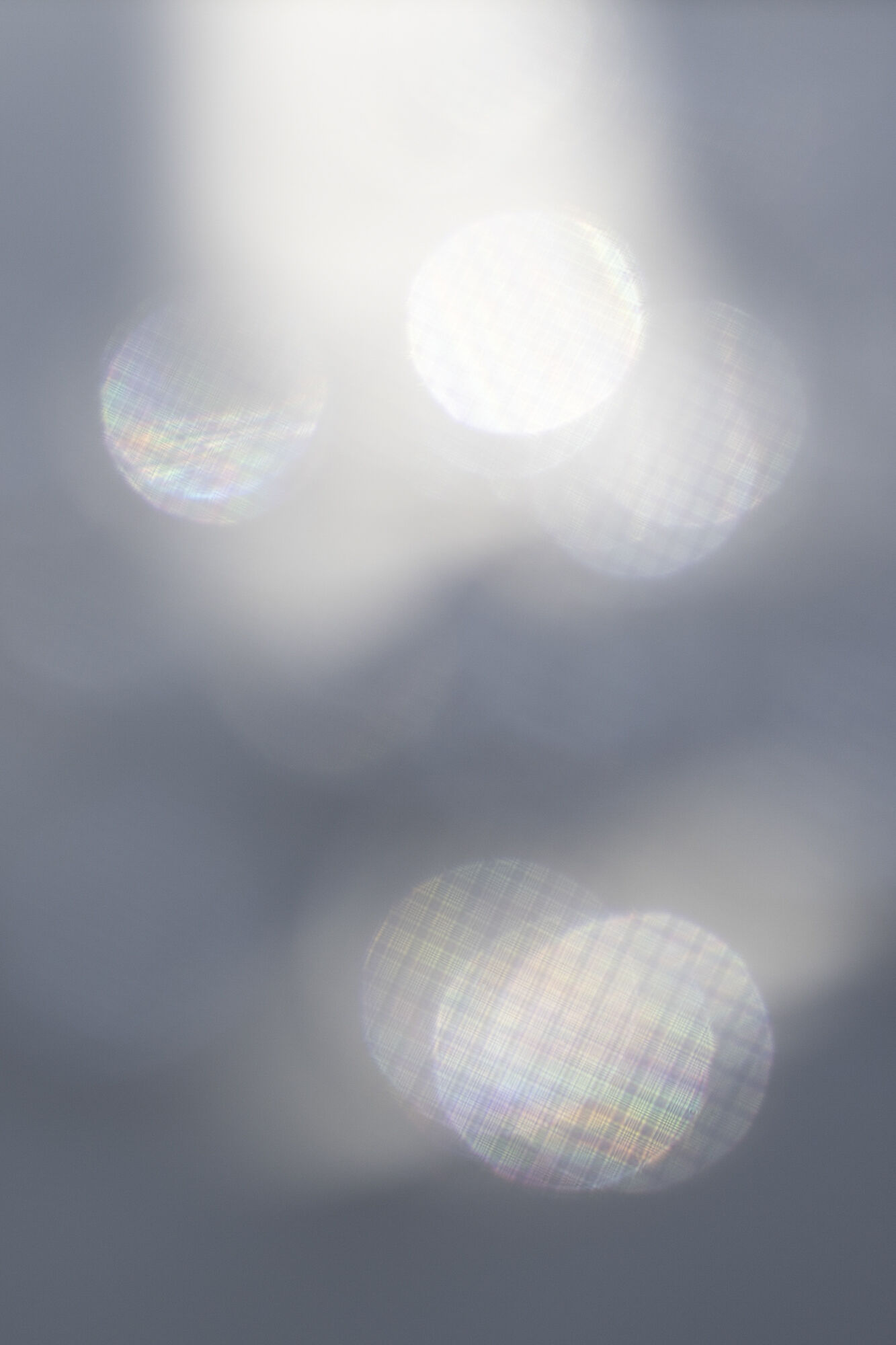 pro1d_natural-cross_features02_2_without.jpg