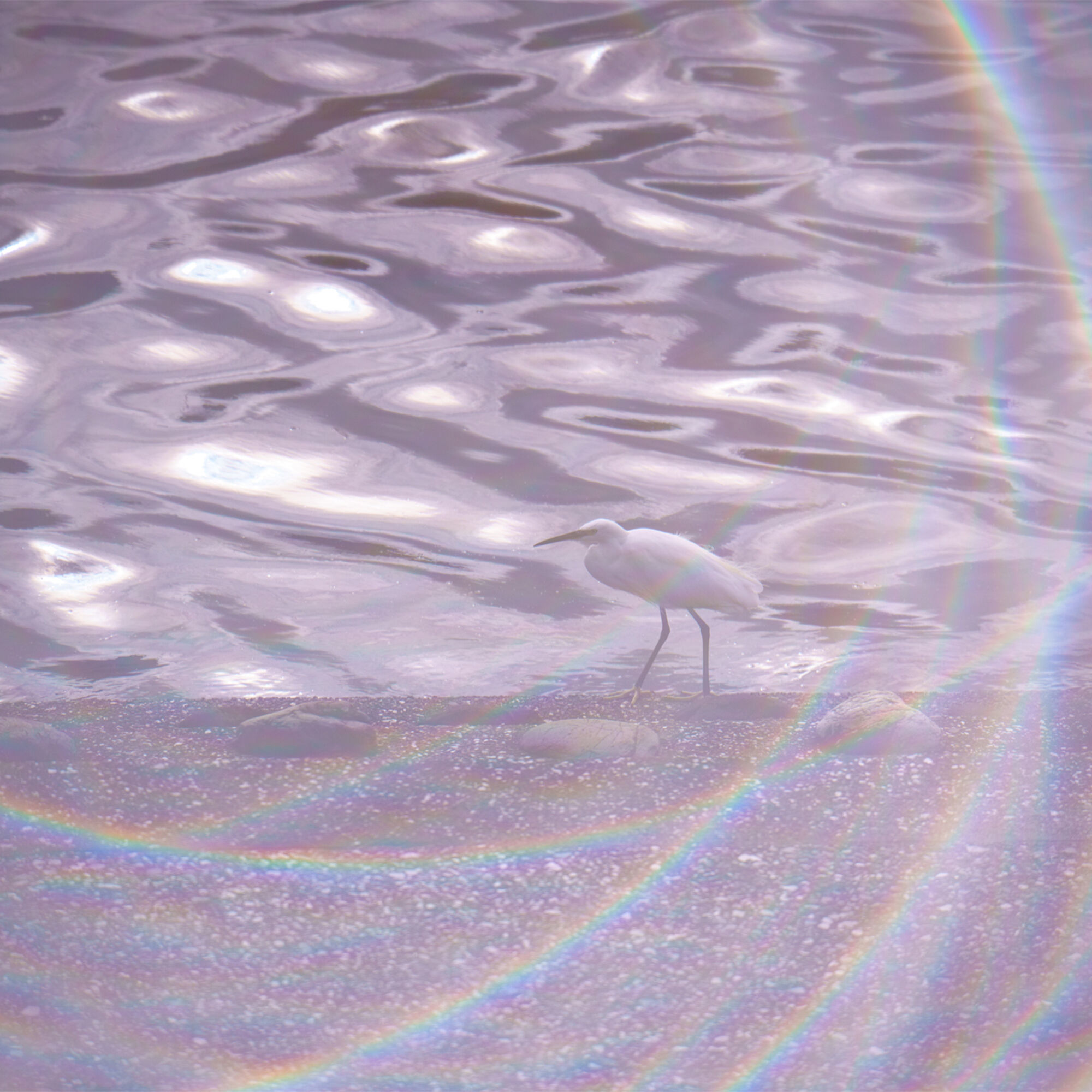 rainbowhalo_gallery10_thumb.jpg