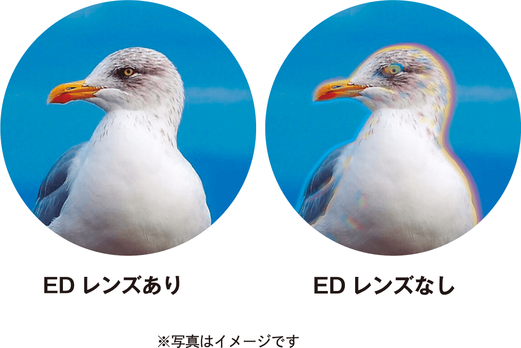 EDレンズ採用 画像