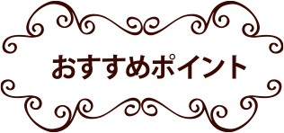 おすすめポイント