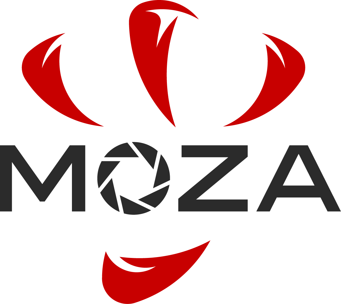 MOZA MOIN Camera   モインカメラ   ケンコー・トキナー
