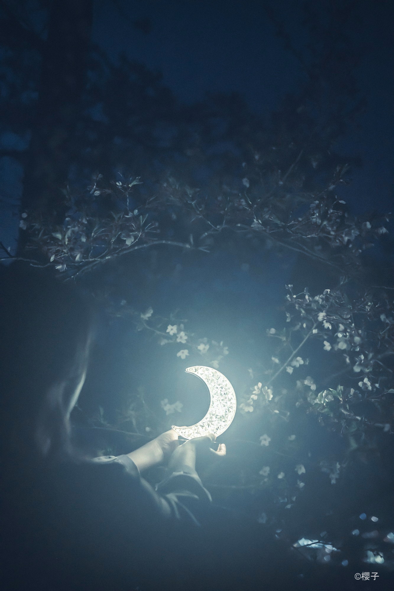 フィルター未使用の作例（夜のシーン）