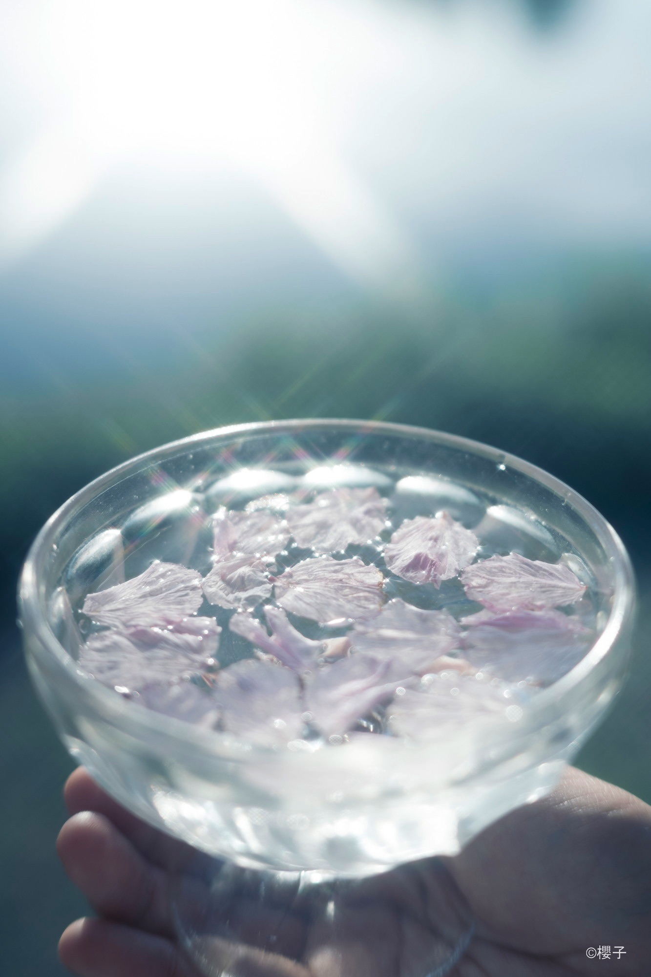 ナチュラルクロス使用の作例（花びらとガラスボウル）