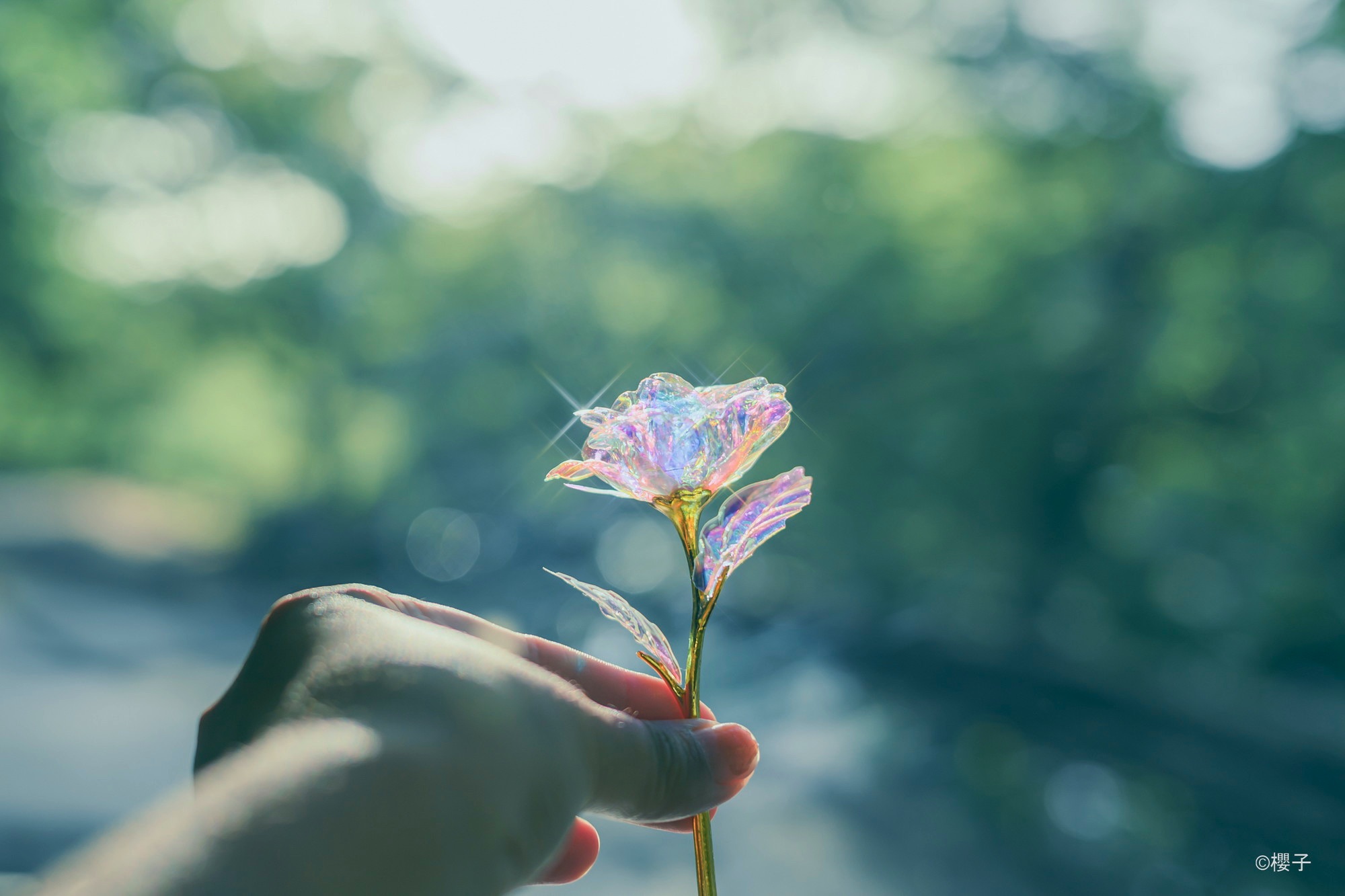 ナチュラルクロスで撮影したガラスの花の作例写真