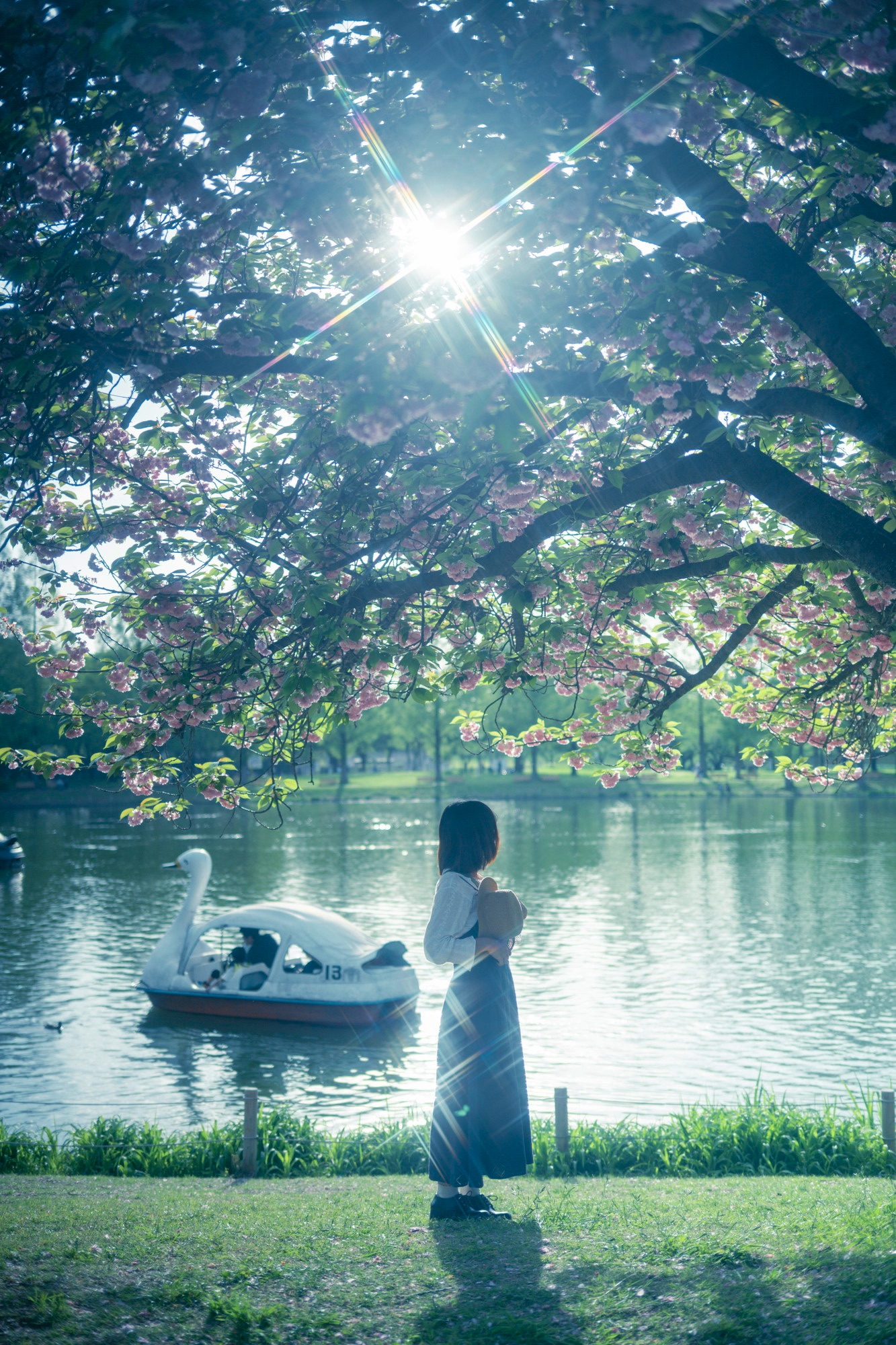 ナチュラルクロスで撮影した桜と湖の作例写真