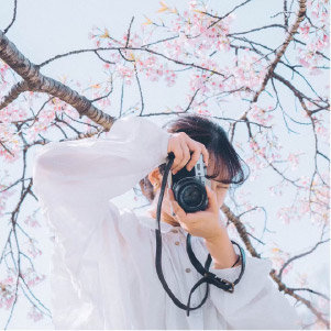 写真家 櫻子