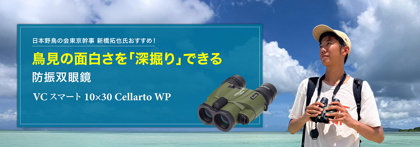 鳥見の面白さを「深堀り」できる防振双眼鏡VCスマート 10x30 Cellarto WP