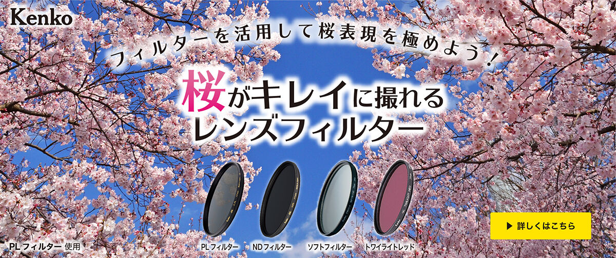サクラの撮影にオススメのフィルター