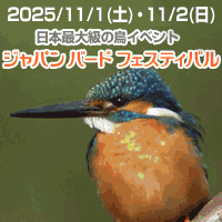 jbf_bn_2025_200x200_03.gif