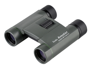 Avantar 8×25 DH WP