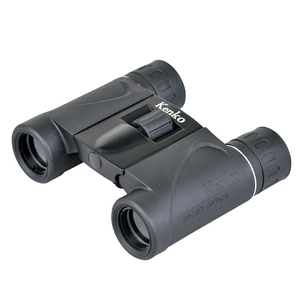 8×21 DH II SG