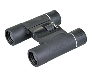 10×24 DH SG