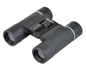 12×24W DH SG