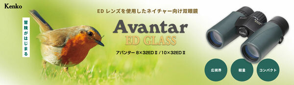bn-avantar-ed-pc.jpg