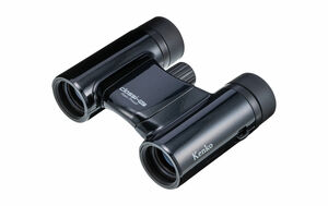 Classi-air 8×21DH MC-BP