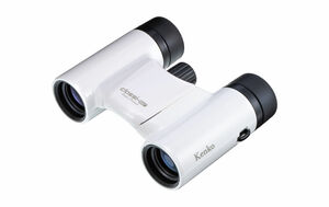 Classi-air 8×21DH MC-WP