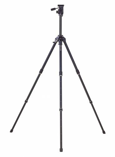 ザ プロフェッショナル NS 製品画像2