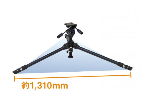 ザ プロフェッショナル N 製品画像3