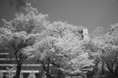 7D2_W2A9339.jpg