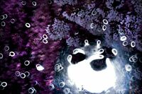 2025年5月11日（日）心象創作セミナー（添削・講評・テクニック）