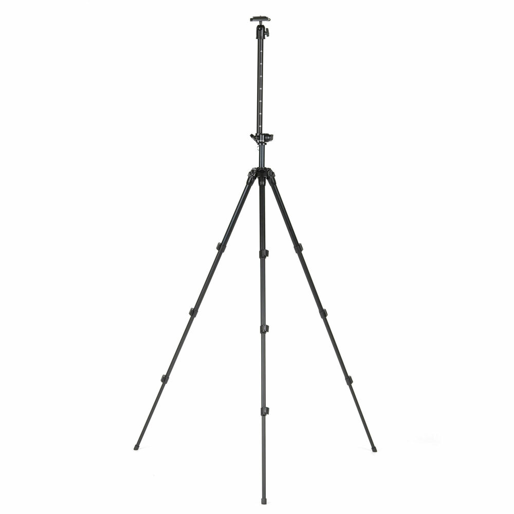 エイブル 240 HC 製品画像2