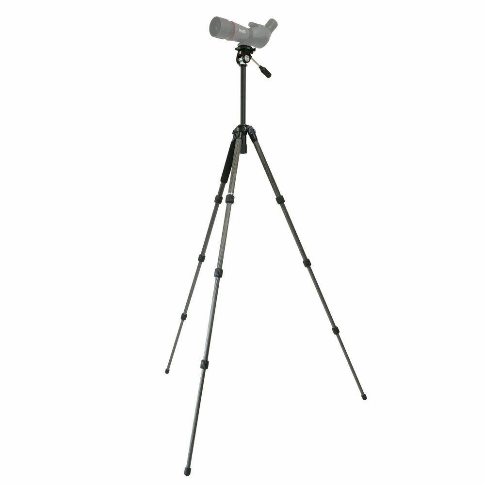 AvocetTarsus（アボセットターサス）＜販路限定製品＞ 製品画像5